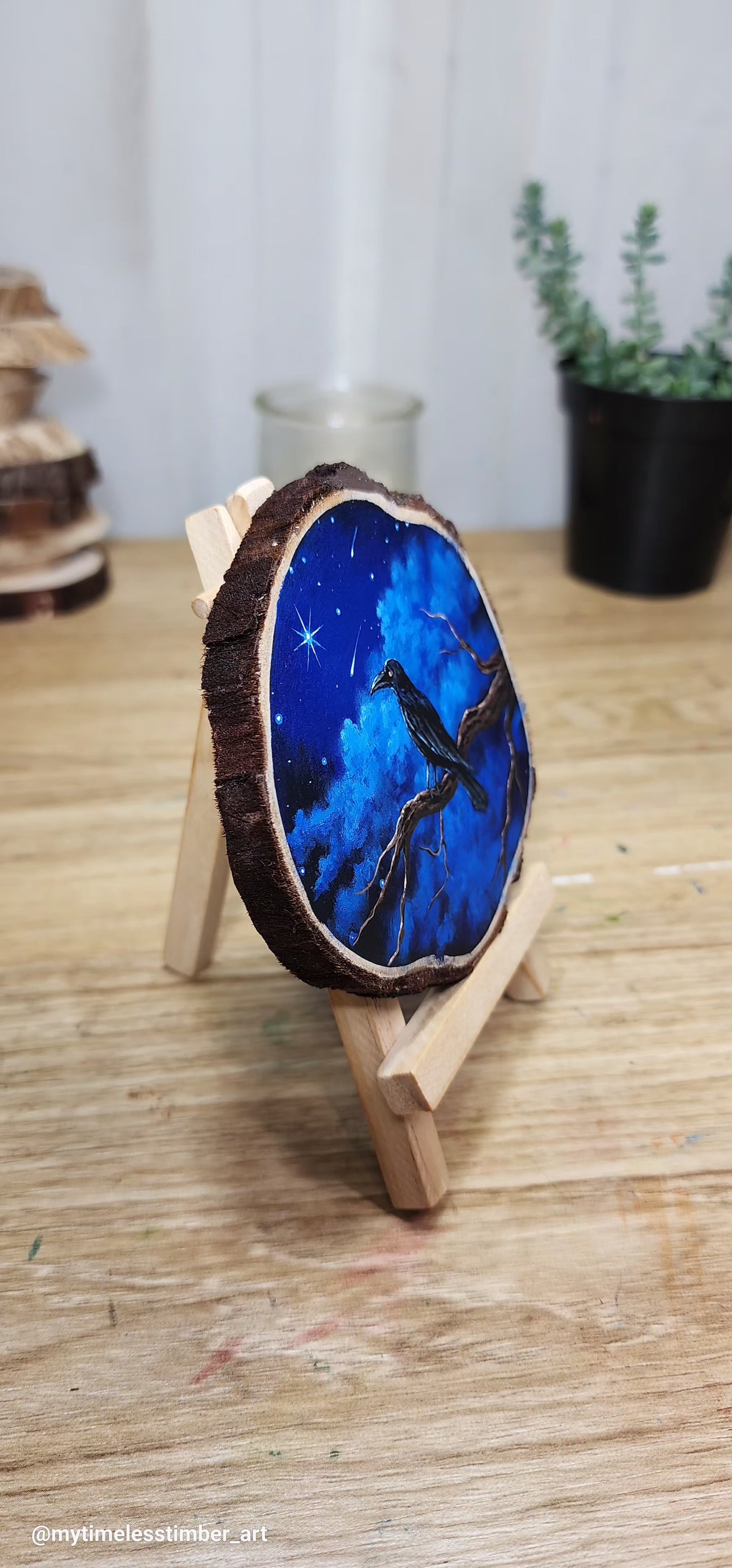 "The Raven Enjoys a Starry Night"