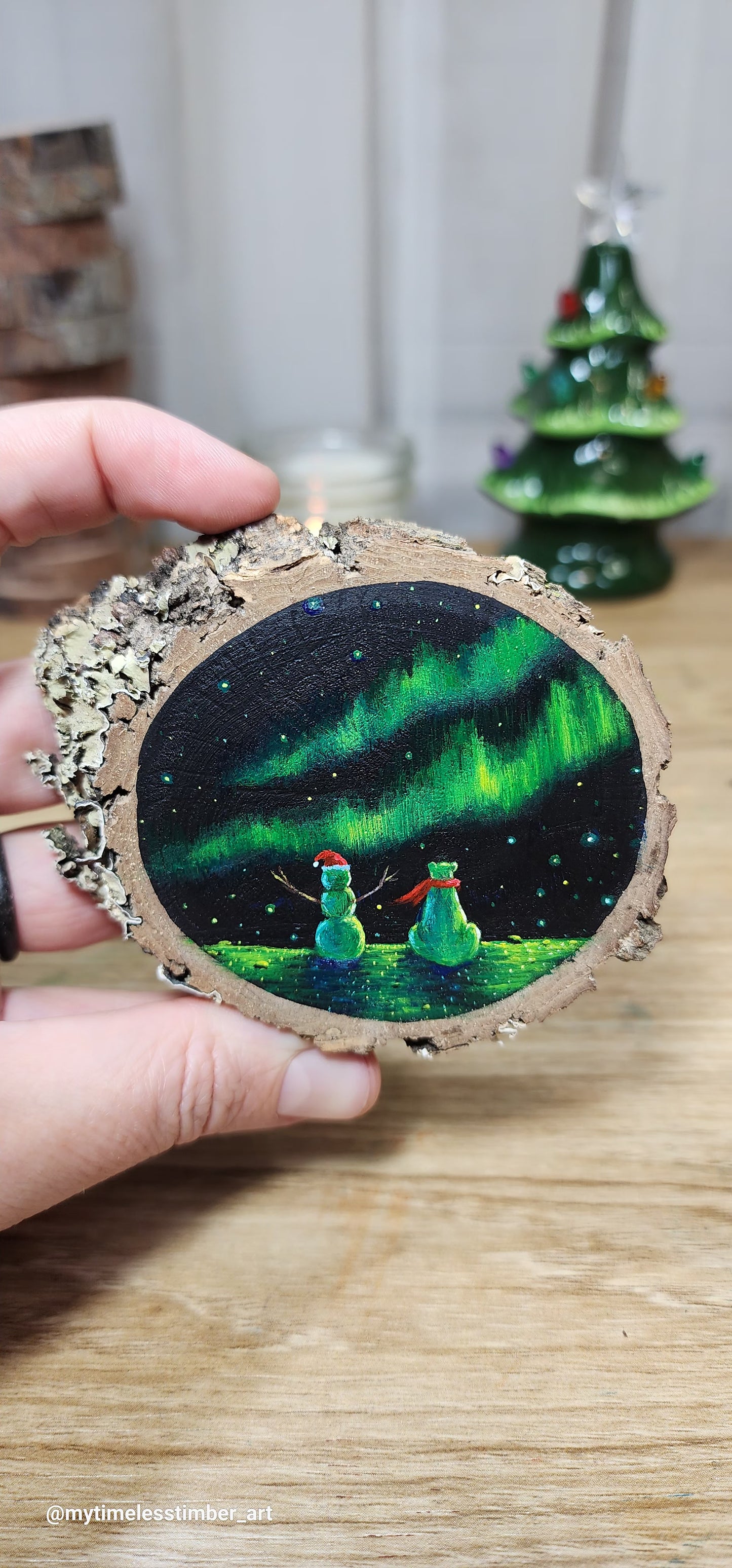 "Enjoying the Auroras"