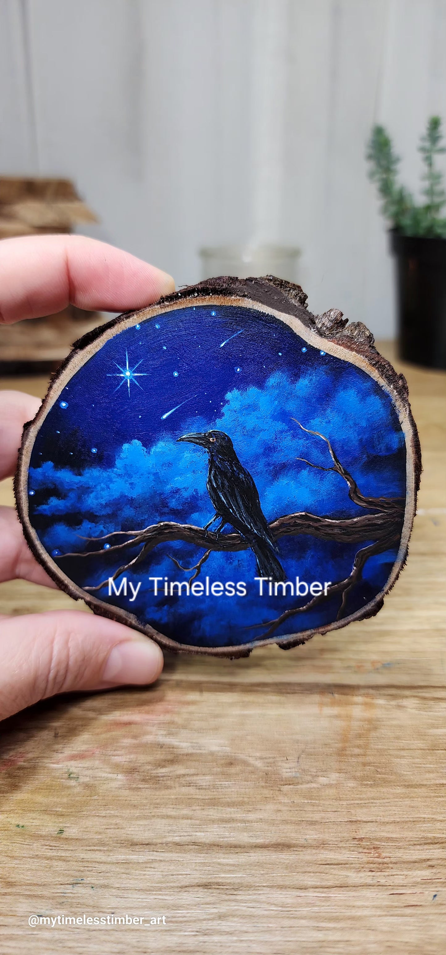 "The Raven Enjoys a Starry Night"