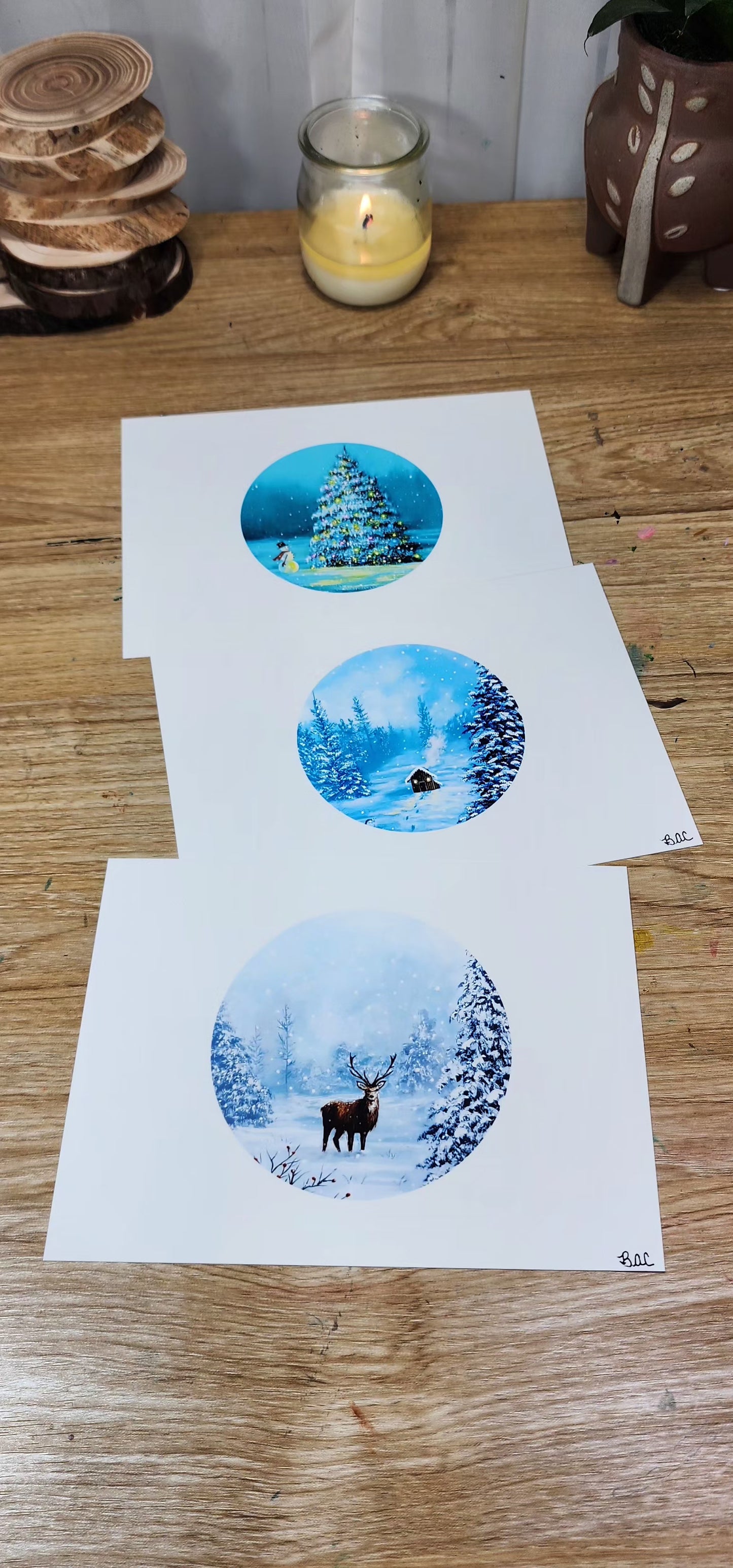 5X7 Winter Pack(3)