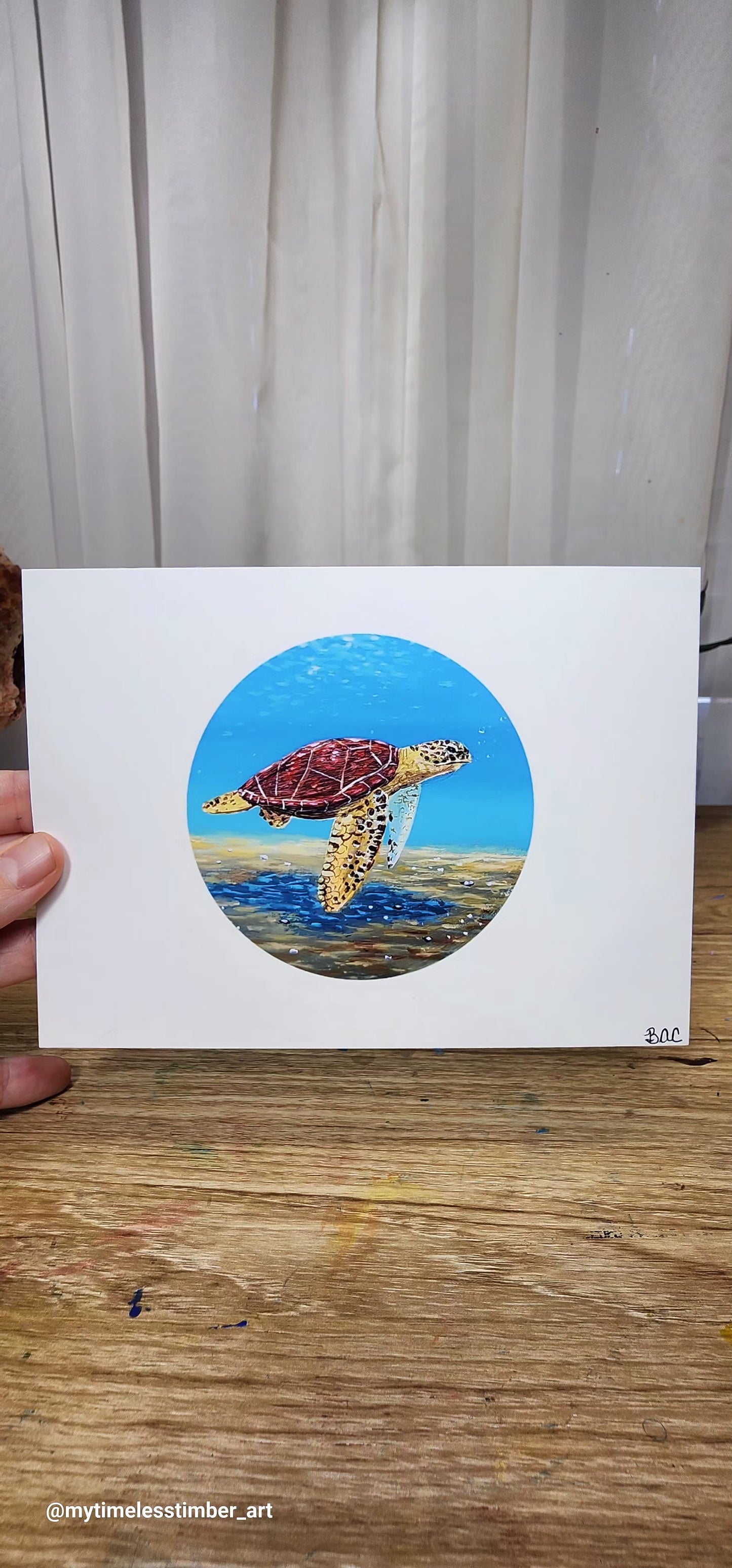 5X7 Summer Pack(3)