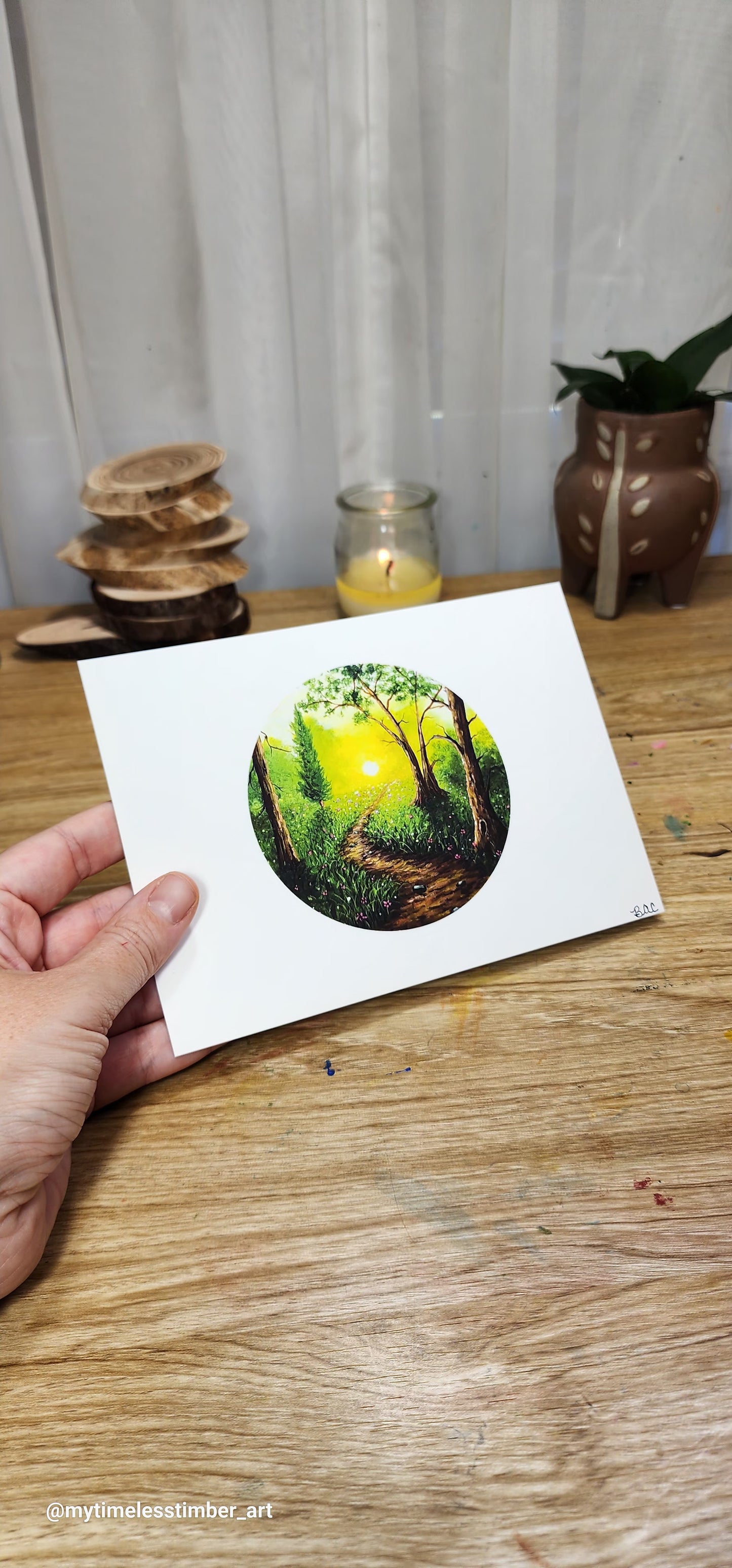 5X7 Spring Pack(3)