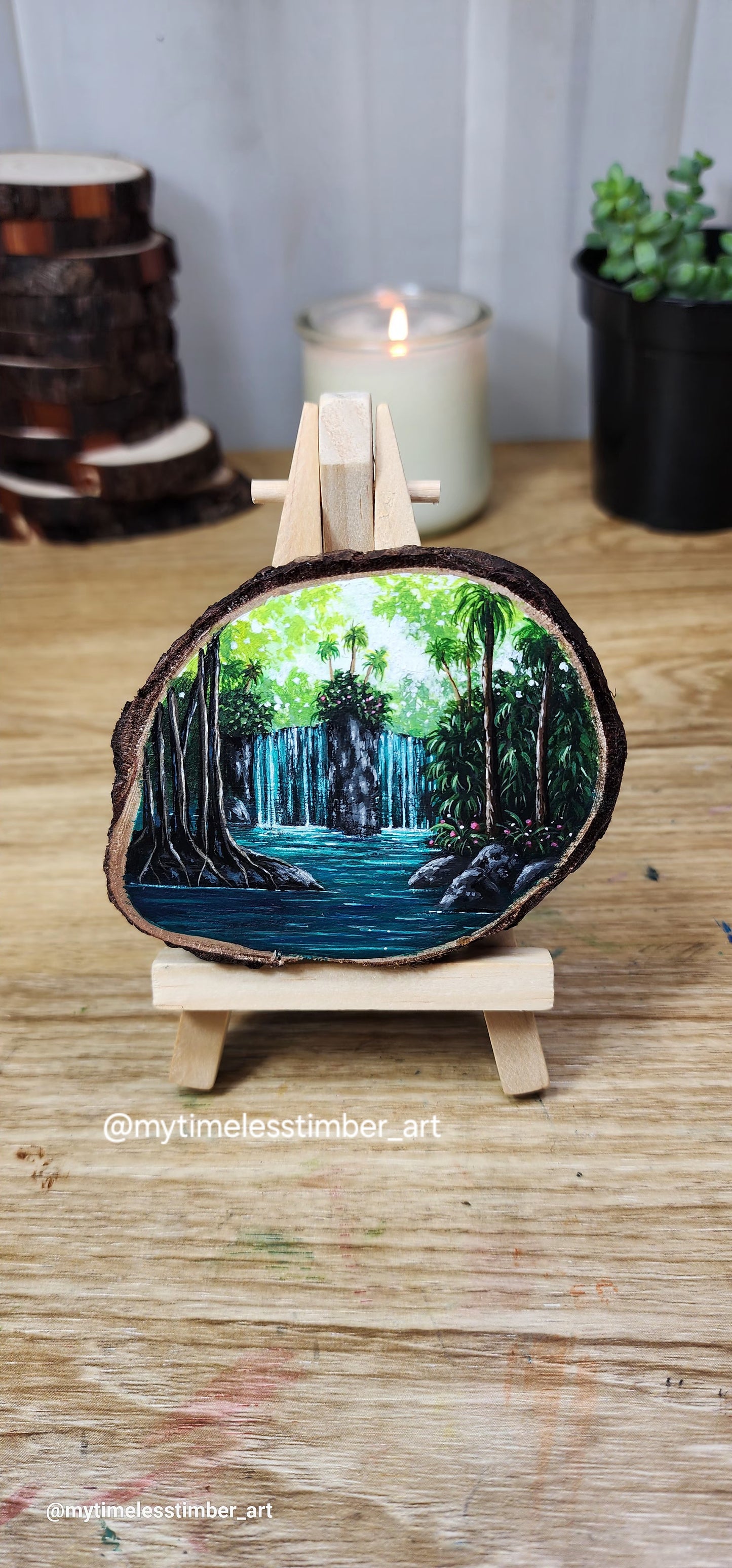 "Waterfalls in the Tropical Forest"