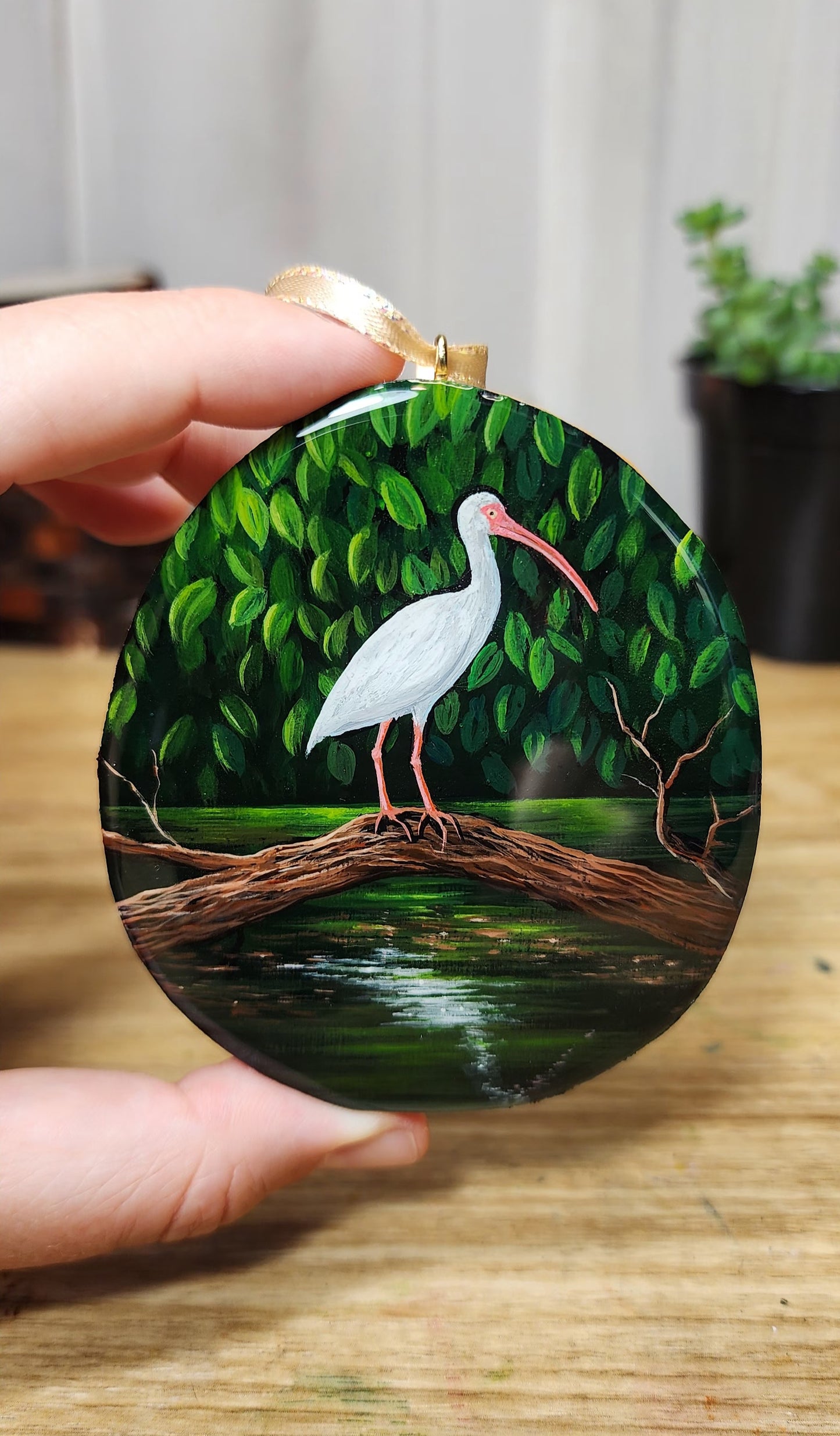 "The Ibis is Patient"
