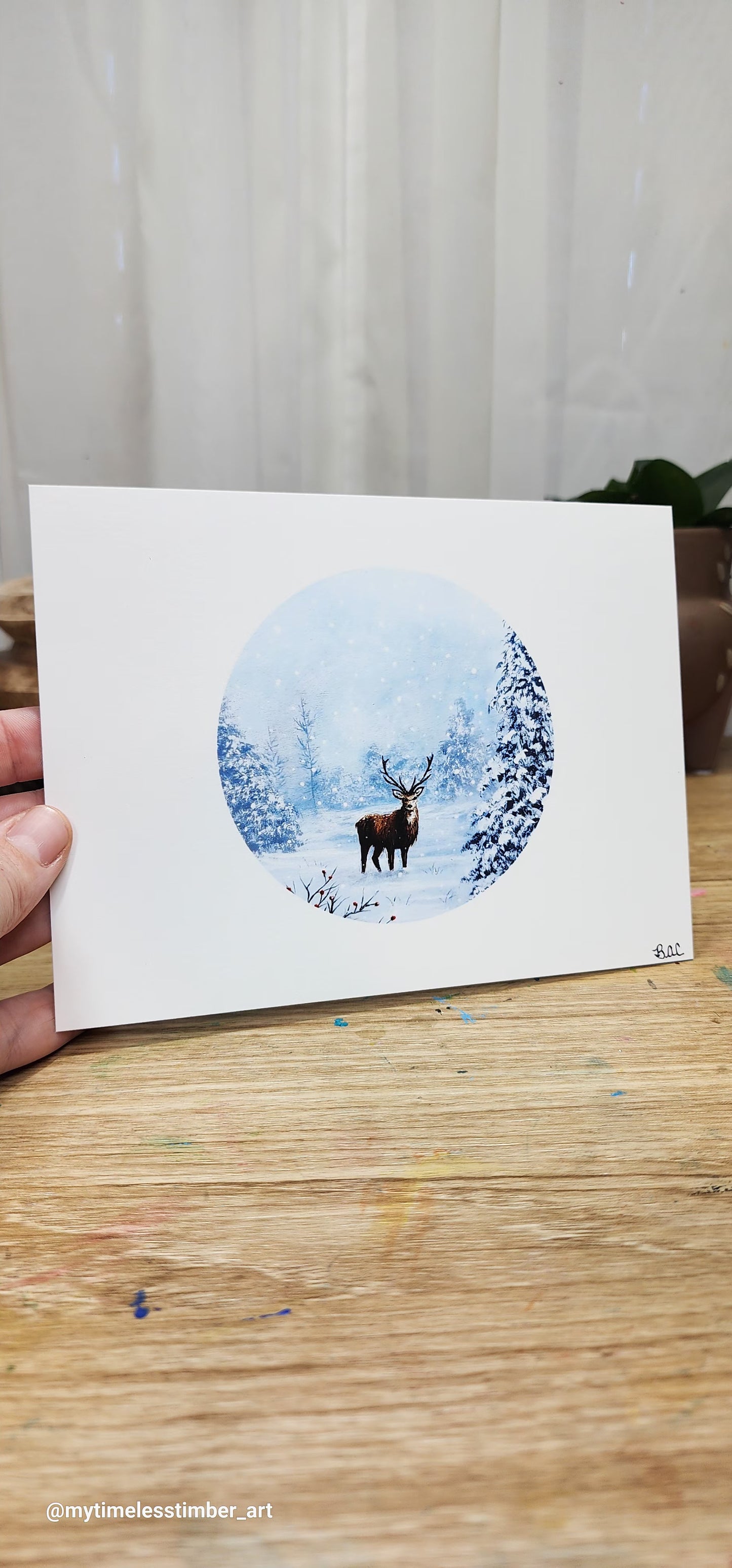 5X7 Winter Pack(3)