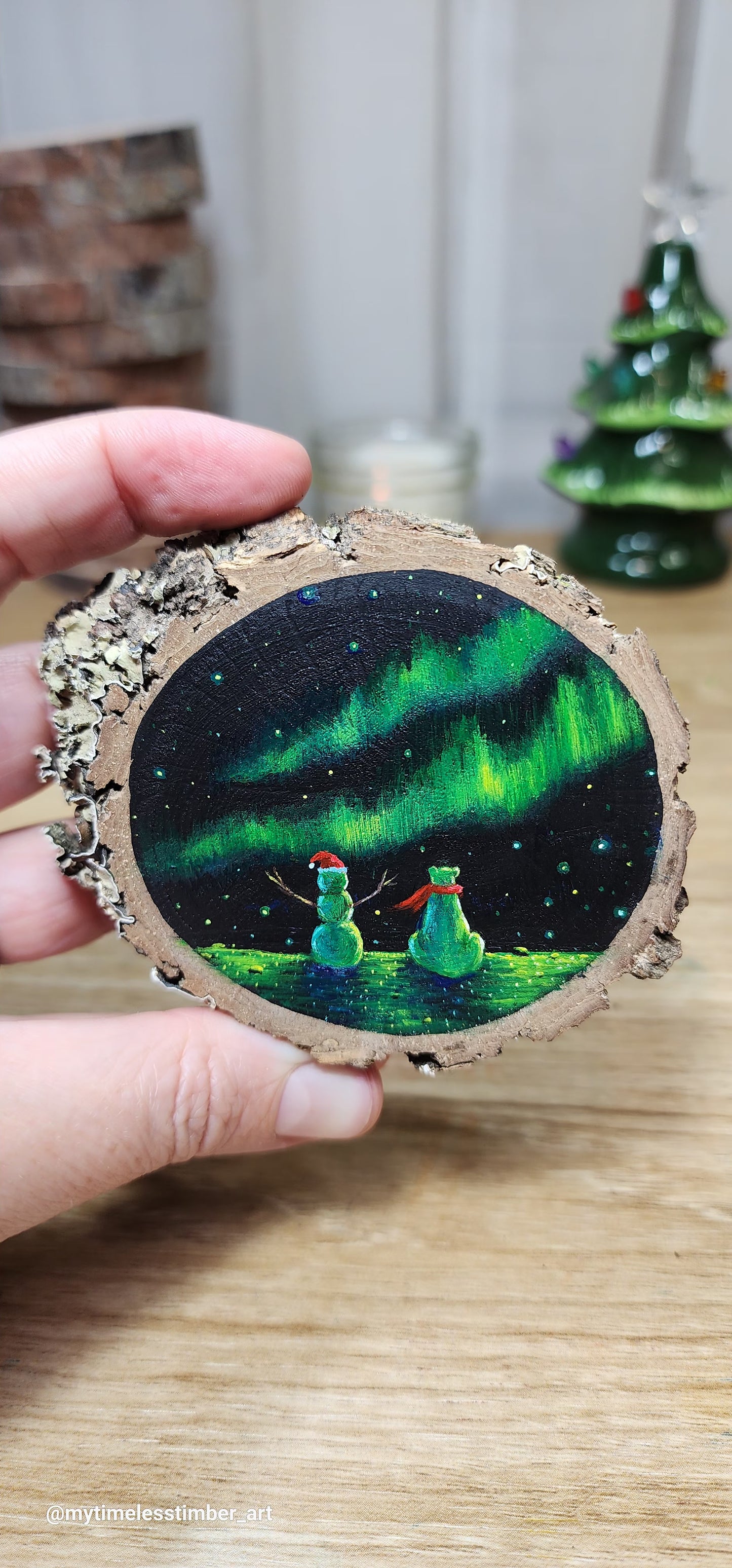 "Enjoying the Auroras"