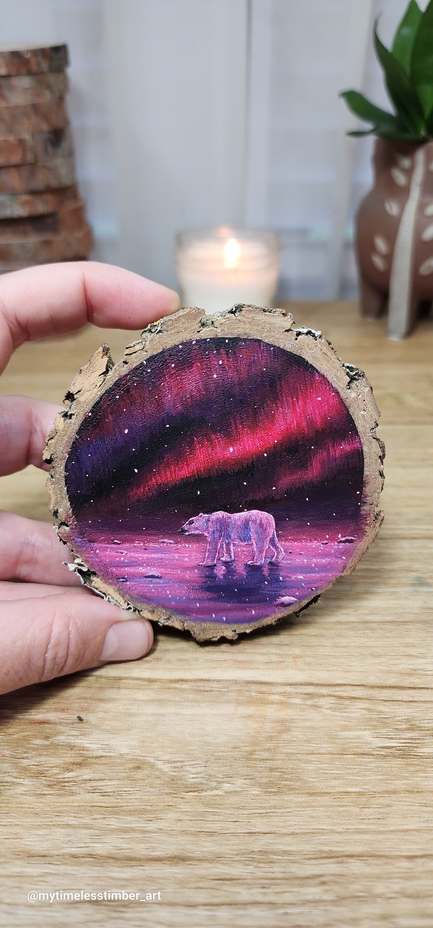 "A Stroll Under Northern Lights"