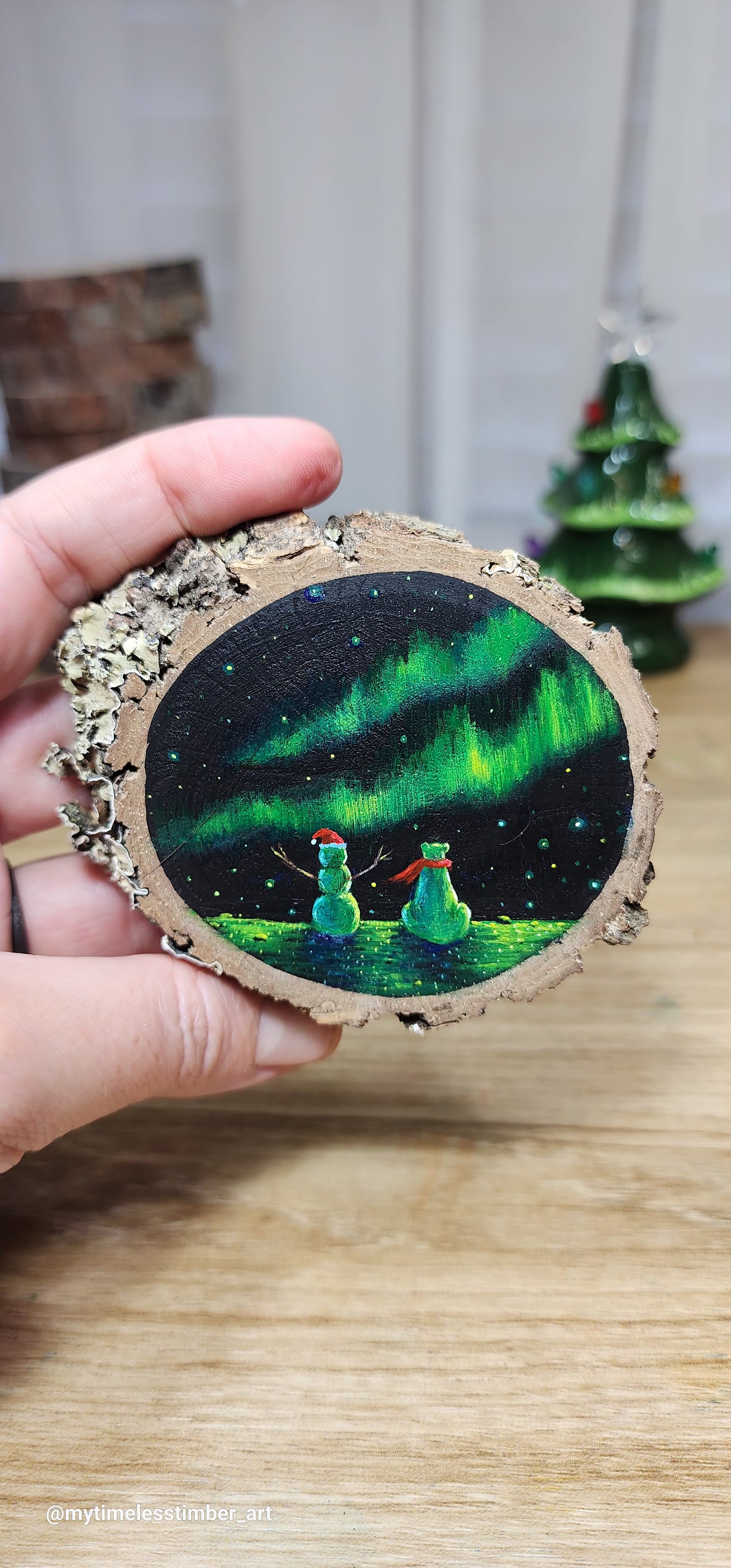 "Enjoying the Auroras"