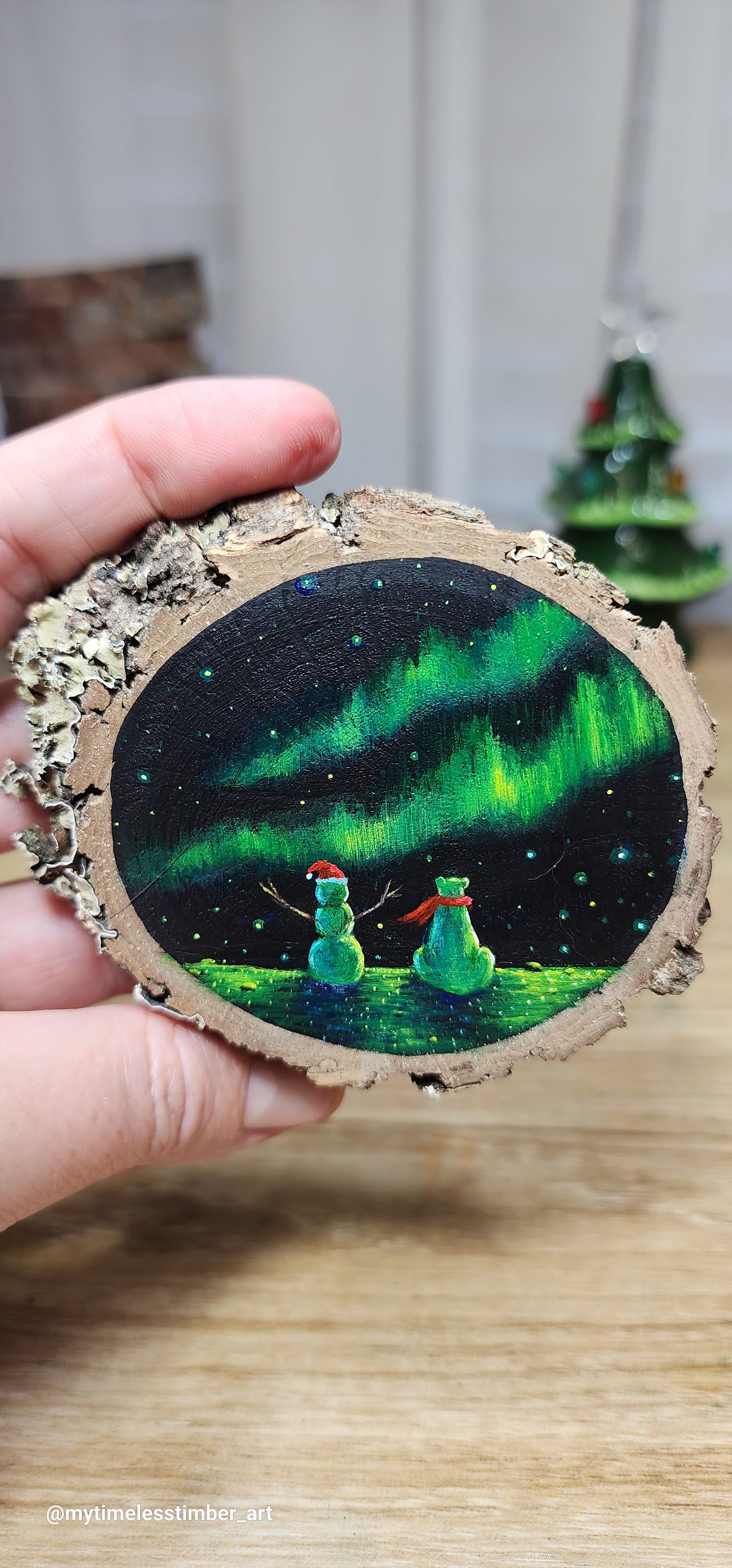 "Enjoying the Auroras"