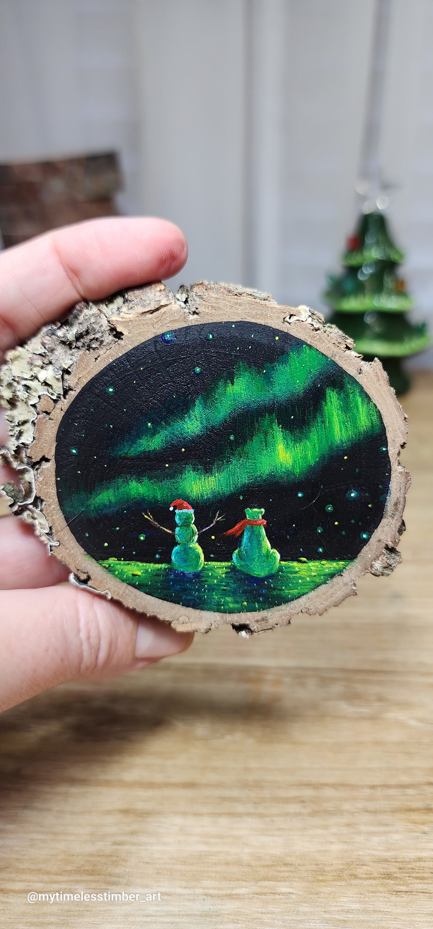 "Enjoying the Auroras"