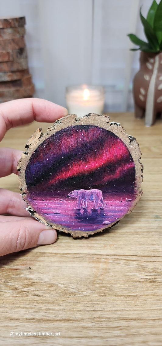 "A Stroll Under Northern Lights"