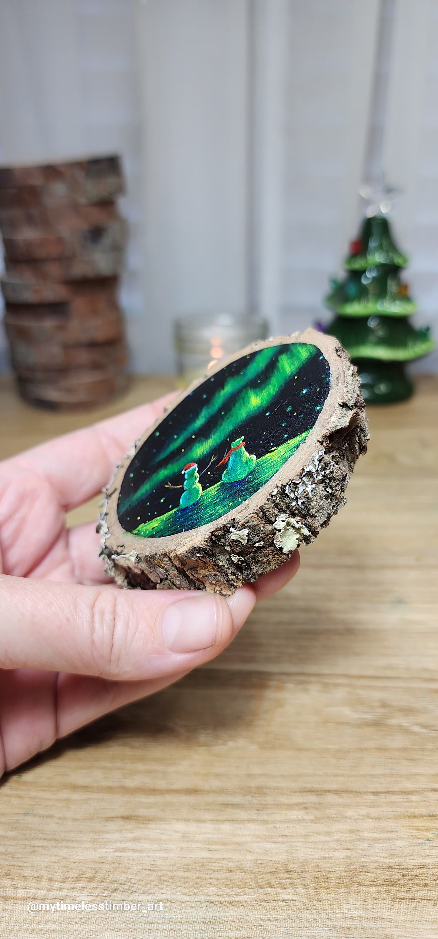 "Enjoying the Auroras"