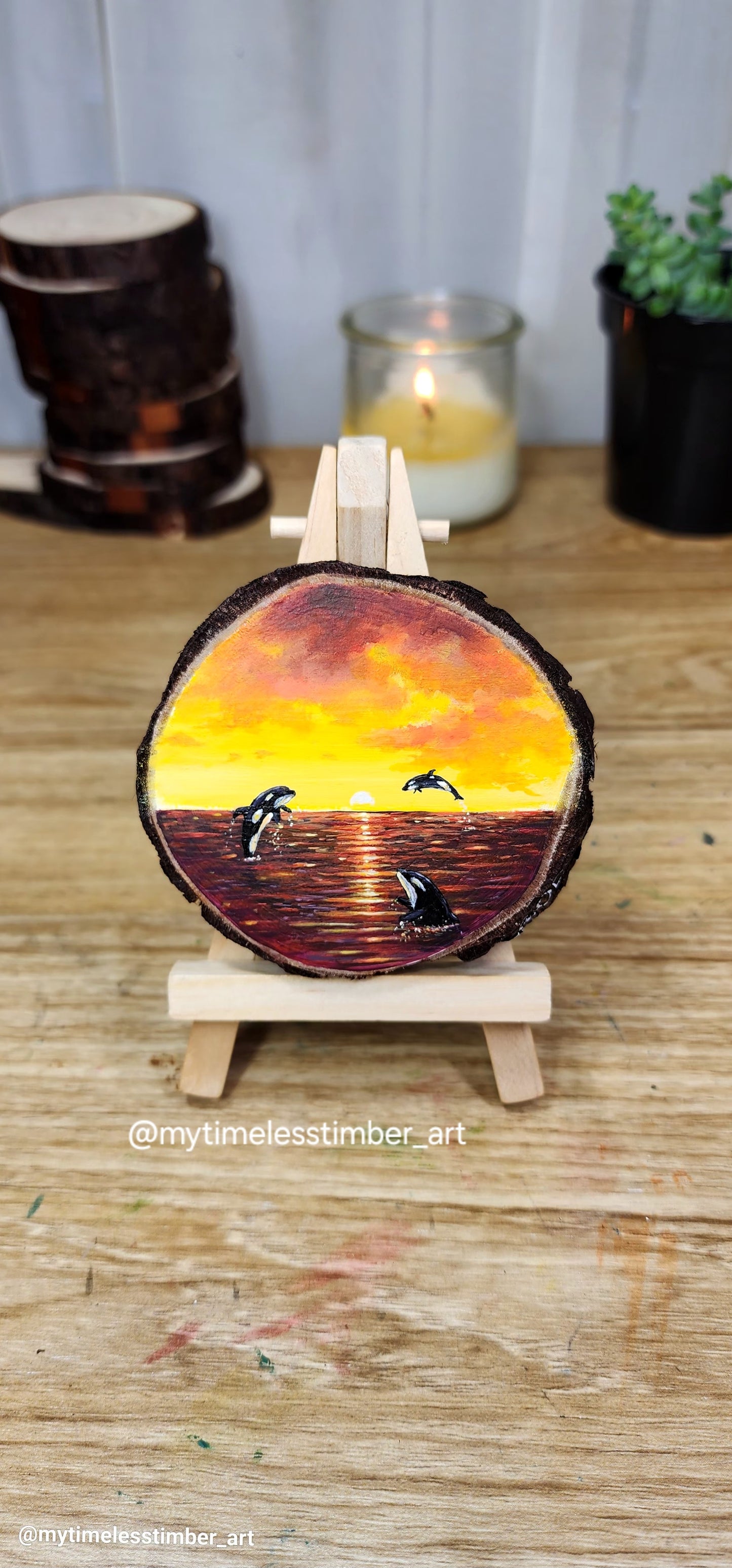 "Orcas Enjoy the Sunset"