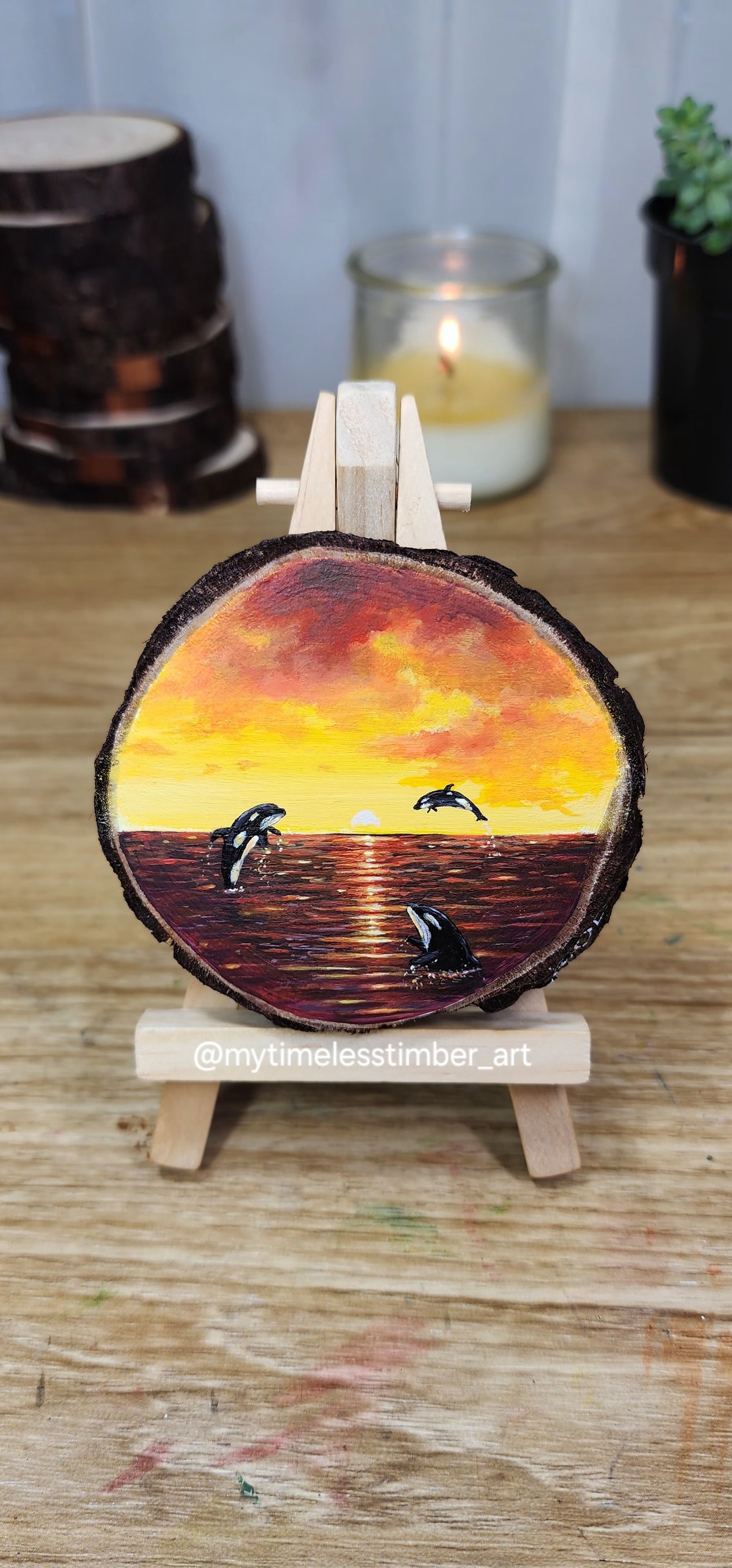 "Orcas Enjoy the Sunset"